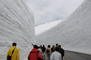 この雪の壁は10m以上でしょうか