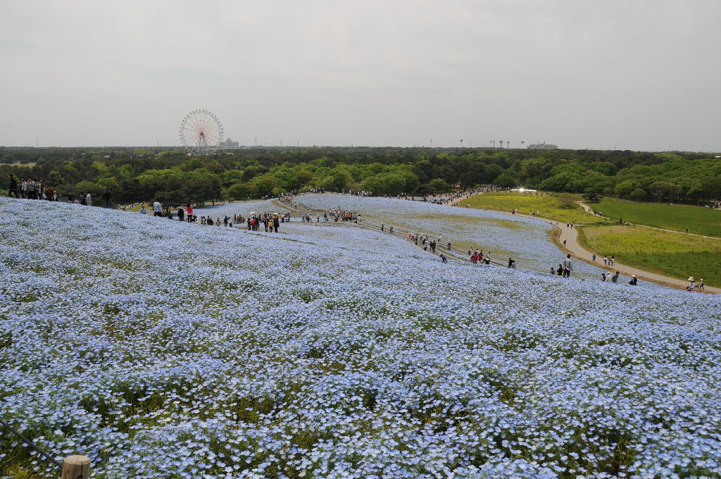 遠くを望むことができました