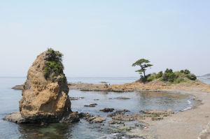 天気の日は伊豆半島の先まで見えます