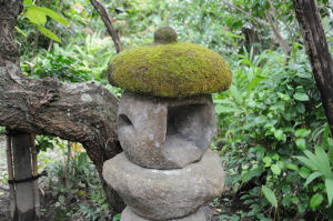 石灯籠の笠だけ苔がびっしり