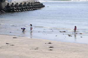 浜辺で遊ぶ子供たち