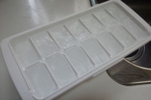 市販の製氷皿に水をため