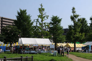 蒔田公園にはテントがたくさん