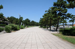 砂浜に沿って遊歩道