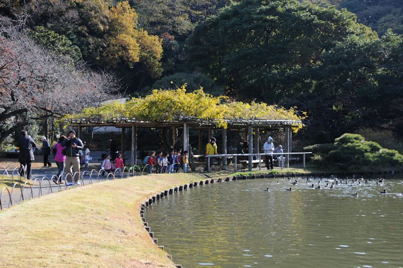 入口を入ると直ぐに大池