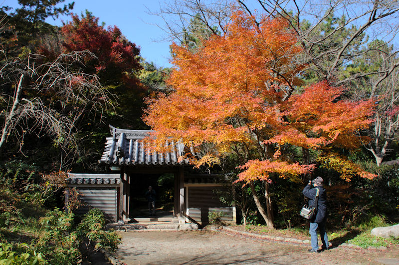 海岸門の紅葉