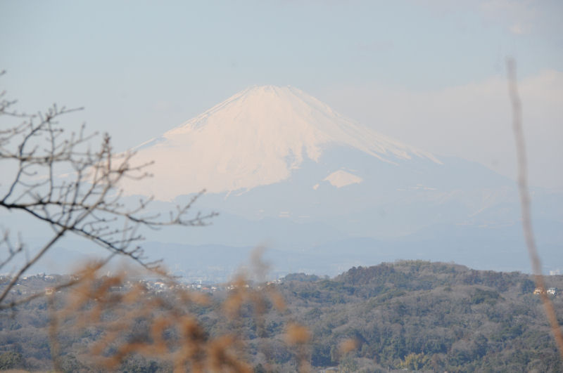 富士山が見えています