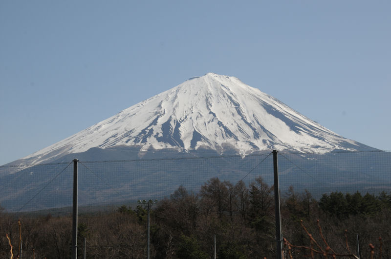 道の駅「なるさわ」からの富士山