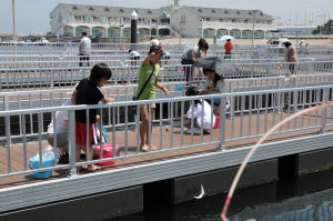 海ファームで魚釣り