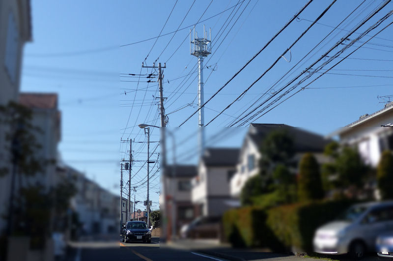 遠くからもみることができます