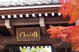 京都、名残の紅葉