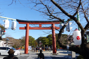 鎌倉散歩のblog