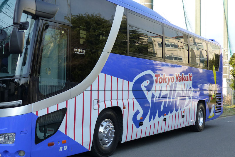 東京ヤクルトのバス