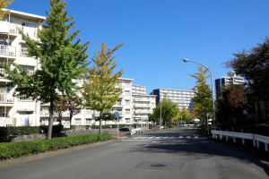 左の団地は金沢第一住宅