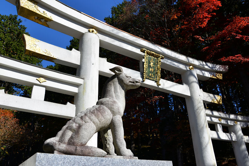 三峯神社の信仰はオオカミ