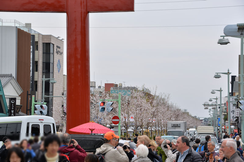 写真をみると半分以上は外国の方