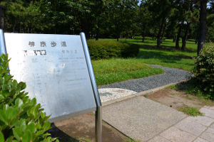 海の公園遊歩道脇の「健康歩道」