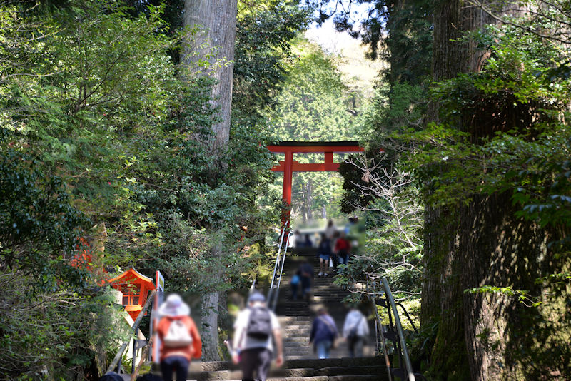 箱根神社にも寄りました