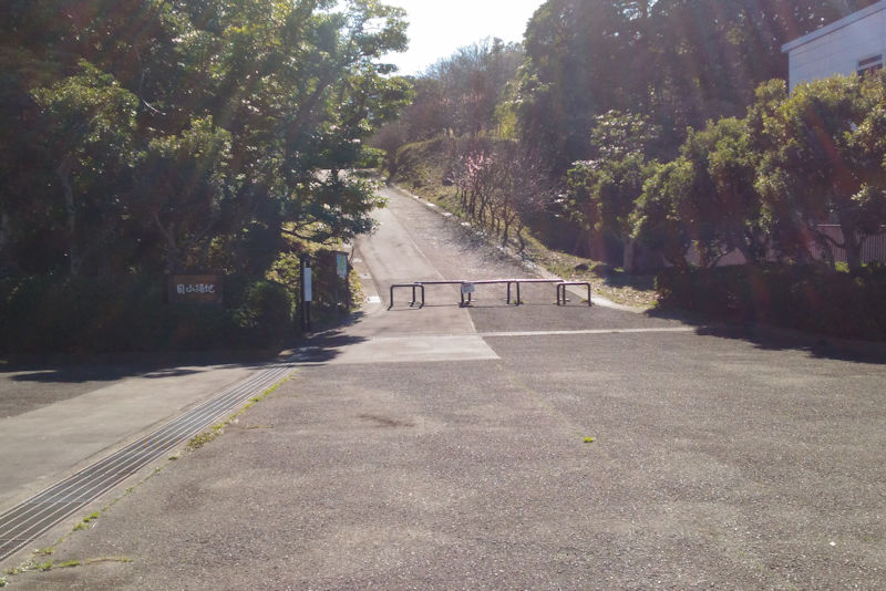 登り口は少し急坂でした