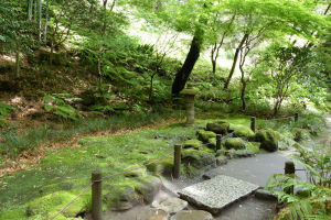 苔生した庭園