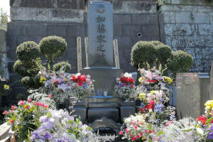 港南区日野霊園にあるひばりさんのお墓