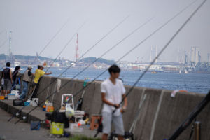 旧堤防では釣りをすることもでき