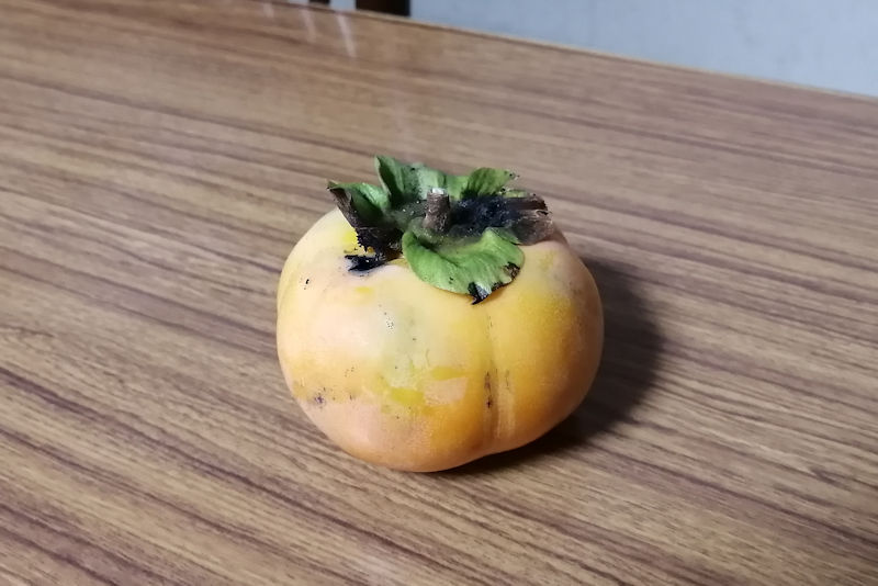 柿の実