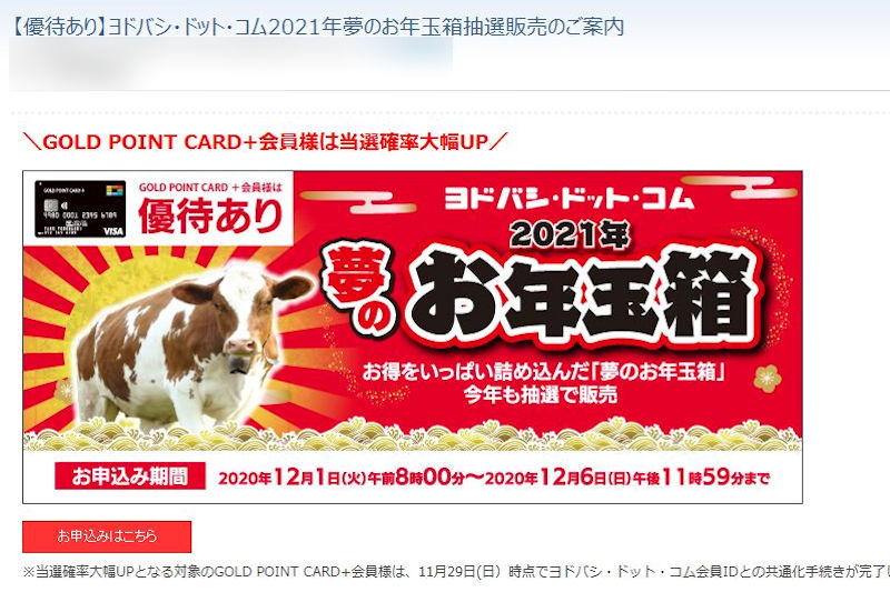 ヨドバシ.com 2021年夢のお年玉箱