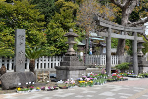 瀬戸神社の花と植木市 Part-1