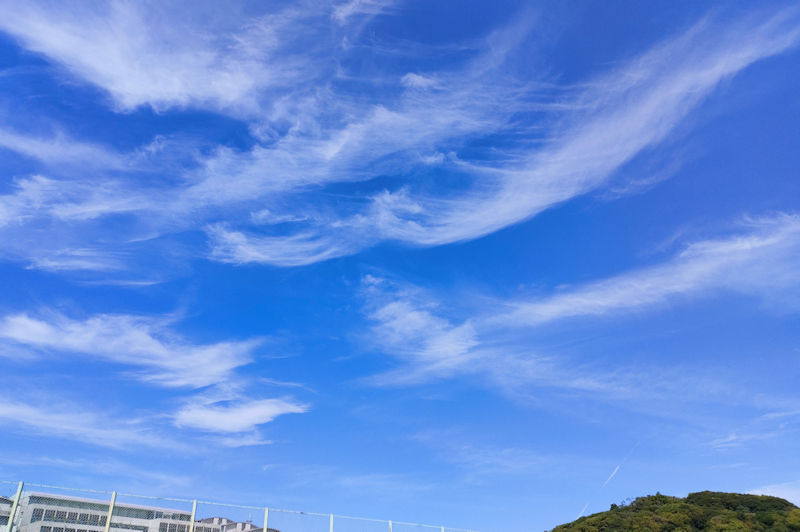 先週の湘南国際村は秋の空