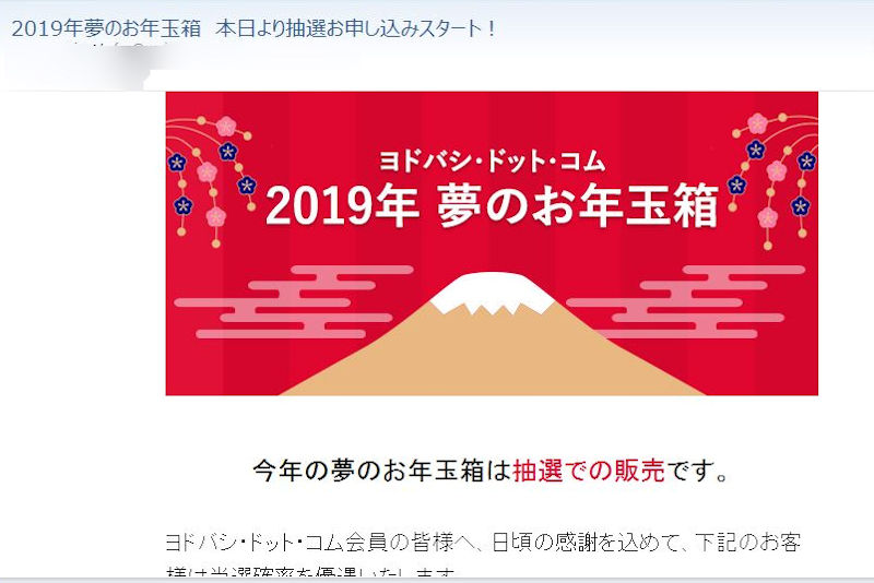 ヨドバシ.com 2019年 夢のお年玉