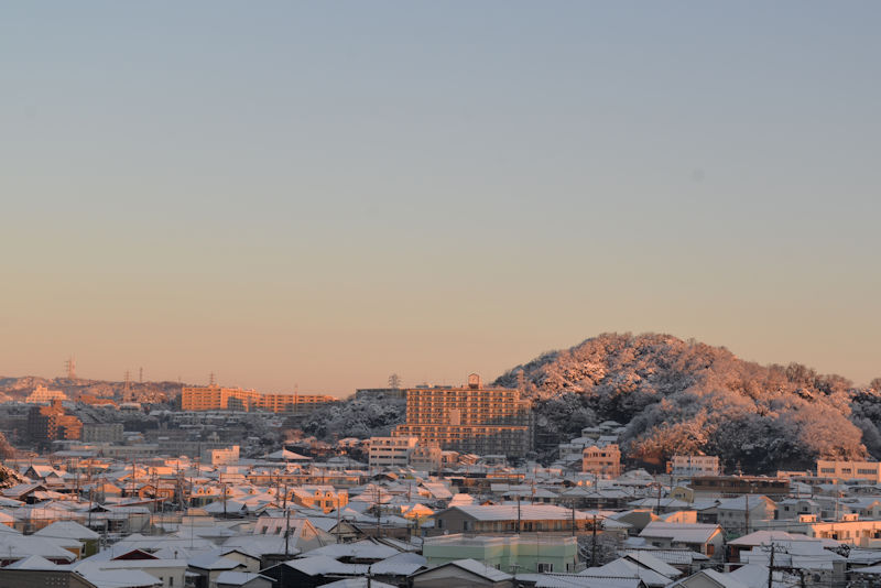 昨日の朝は一面雪景色