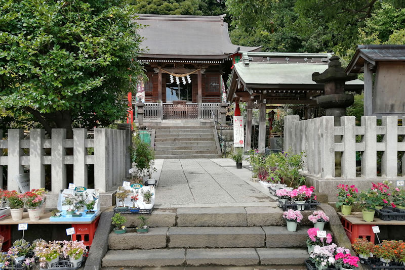 瀬戸神社「秋の花と植木市」