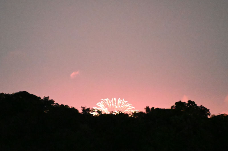 昨年は8月2日に行われました