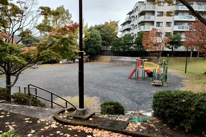 公園があります