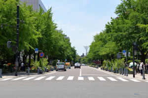 日本大通り