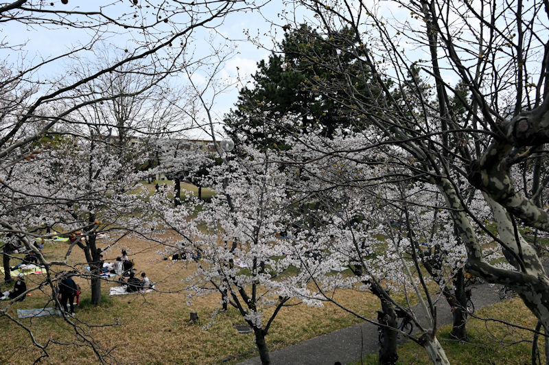 野島公園（室ノ木地区）
