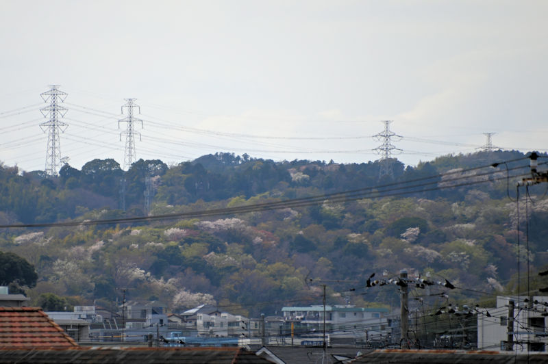 朝比奈峠方面の山々