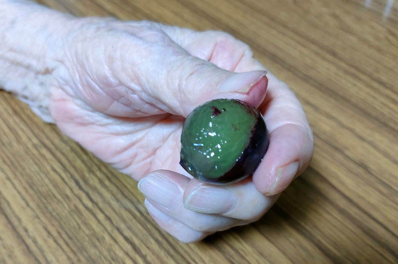 102歳の母はブドウが好物