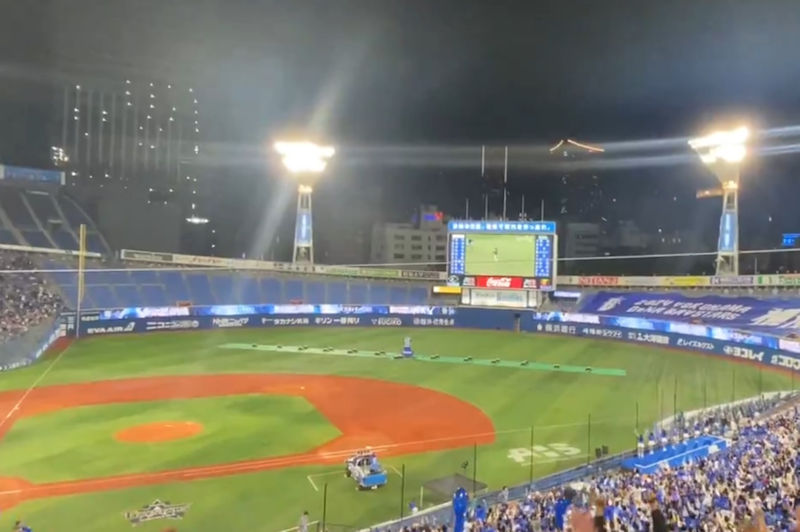 阪神タイガースと甲子園球場で